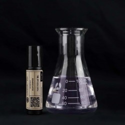 Perfume Oil Impression of Eclat D'Arpege